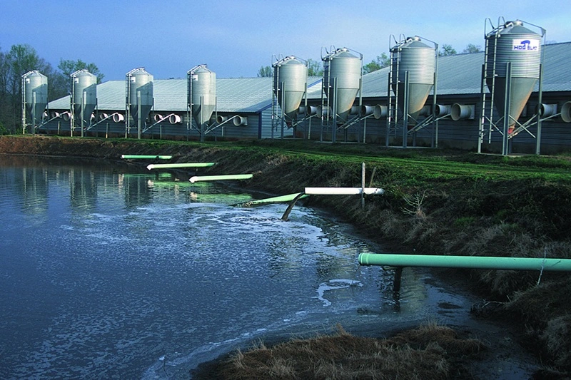 Wide Industry Application Fields